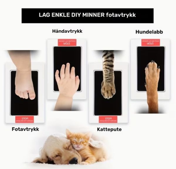 Hovedbilde Avtrykks-pute, lys blå