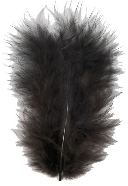 Hovedbilde Fjær, svart