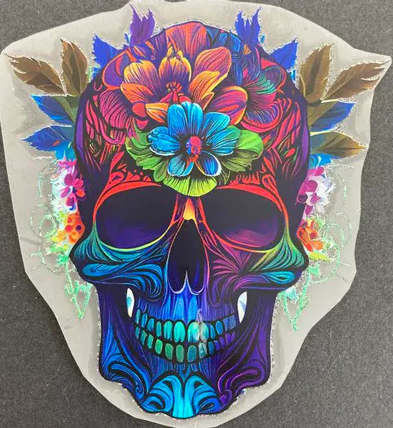 Hovedbilde Skull - 15